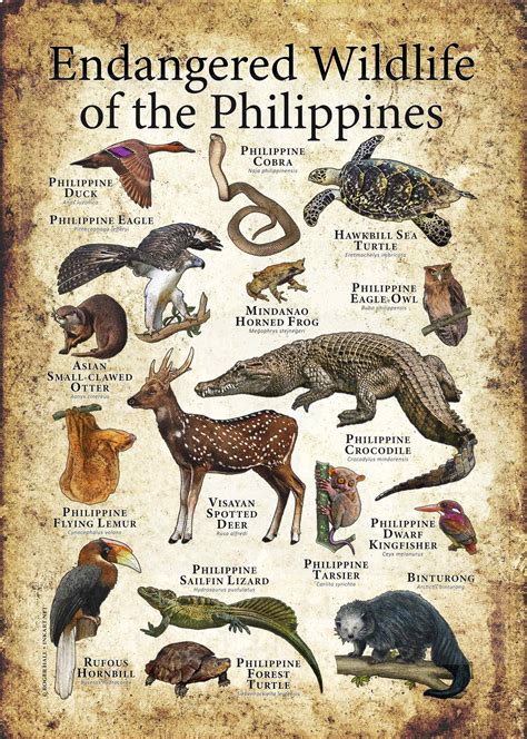 Threatened Species of Philippines .